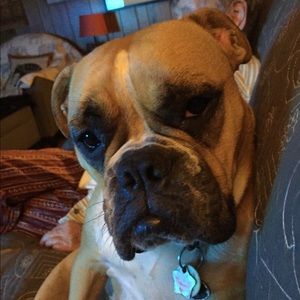 Meet your Posher, Barbara